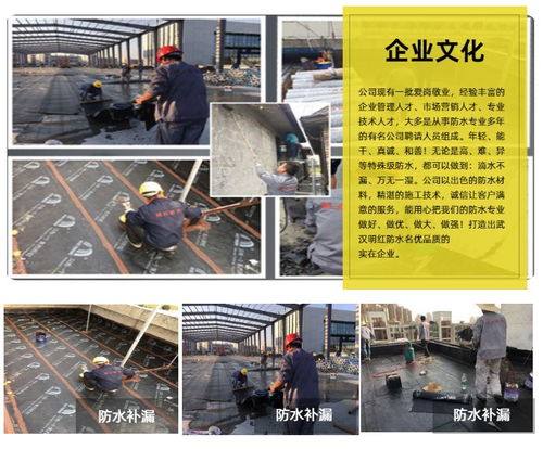 明紅防水補漏 新型防水材料 武漢防水材料